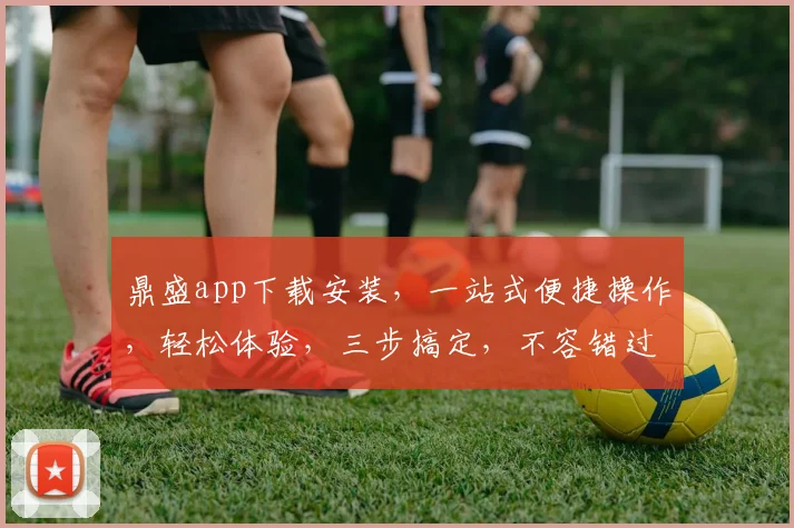 鼎盛app下载安装，一站式便捷操作，轻松体验，三步搞定，不容错过，必看攻略