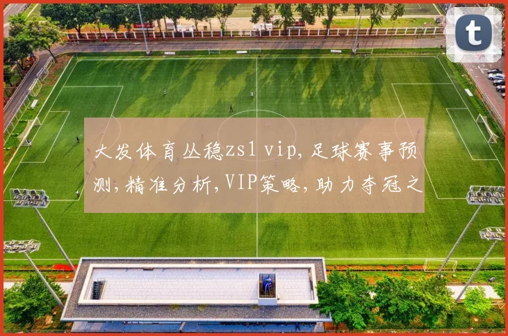 大发体育丛稳zs1 vip,足球赛事预测,精准分析,VIP策略,助力夺冠之路